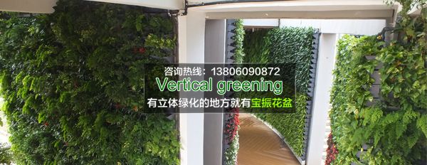 安徽室內墻面垂直立體綠化