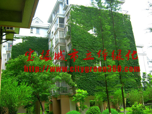 你所了解的立體綠化花盆的優勢