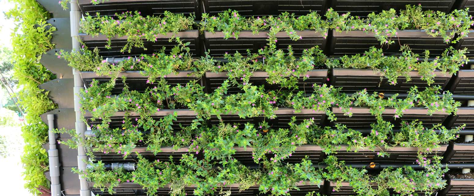 IMG_1126.jpg IMG_1126.jpg